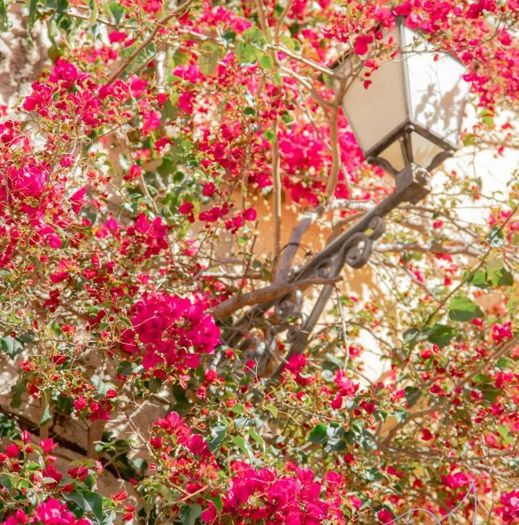 Cozy 3-Room Apartment In The Heart Of The Village Of Fayence